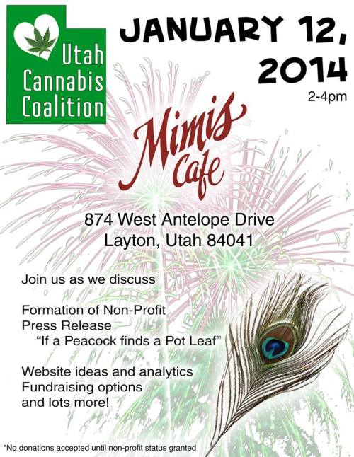 Utah Cannabis Coalition January 2014 Meeting